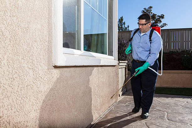 Seasonal Pest Control in Fordoche, LA